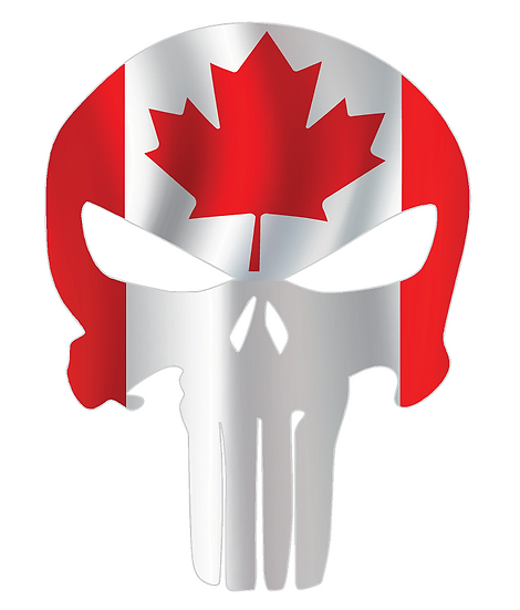 SXS/UTV/RZR/Truck/Car Canadian Flag Punisher Roof Decal