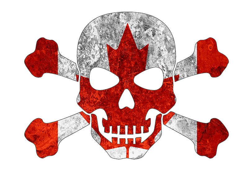 SXS/UTV/RZR/Truck/Car Canadian Skull & Crossbones Roof Decal