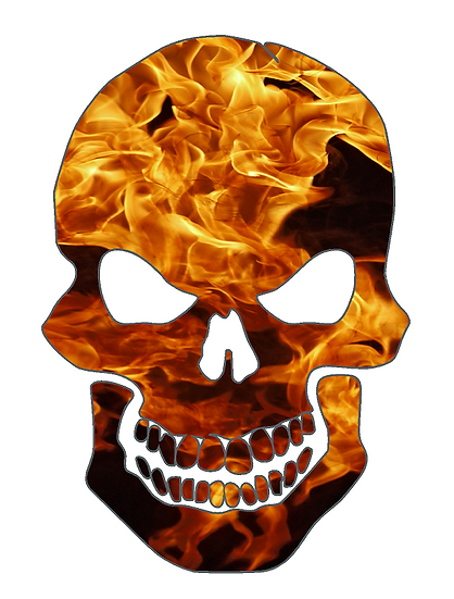 SXS/UTV/RZR/Truck/Car Fire Skull Roof Decal